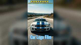 Filme PET para logotipo de carro